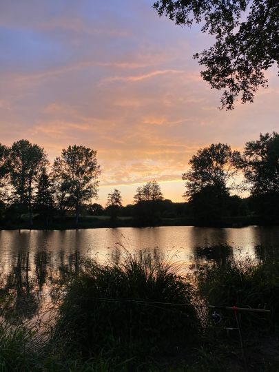 Tonkuhle Harsefeld-1