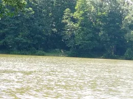 Tonkuhle Harsefeld-4