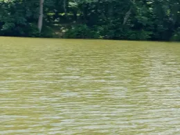 Tonkuhle Harsefeld-2