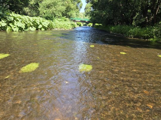 Oder (Hattorf/Harz)-1