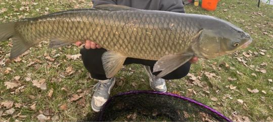 Kiesgrube Pressath-1