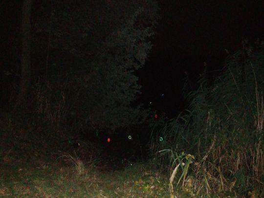 Kiessandtagebau Ditfurt 1-1