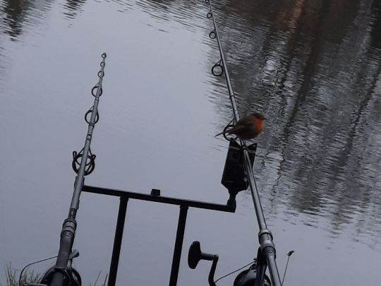 Weißmüllerweiher-1