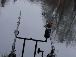 Weißmüllerweiher-1