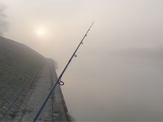 Industriehafen Mainz-1