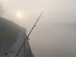 Industriehafen Mainz-1