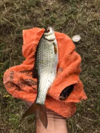 Mühlgraben (Hadmersleben)