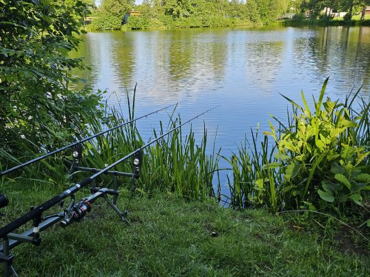 Großer Stadtweiher (Auerbach)-4