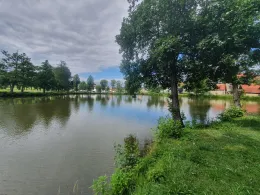 Großer Stadtweiher (Auerbach)-2