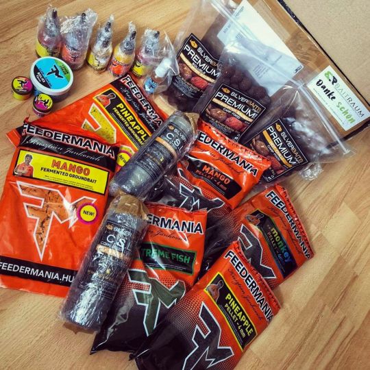 Großer Stadtweiher (Auerbach)-2