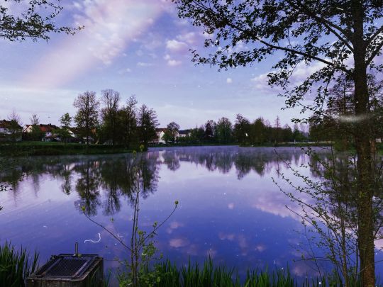 Großer Stadtweiher (Auerbach)-3