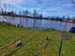 Großer Stadtweiher (Auerbach)-1