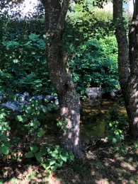 Wolf (Oberwolfach)-1