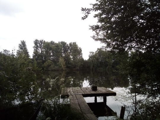 Borner See
