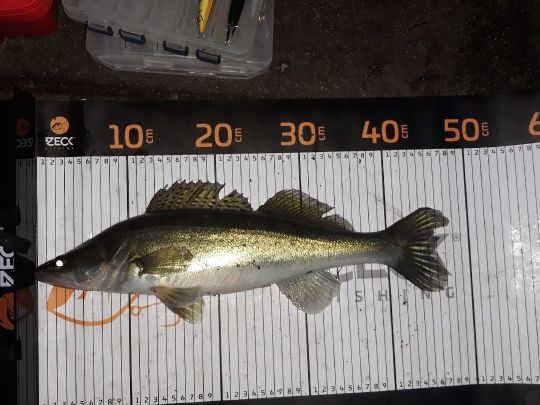 Neue Fahrt (Potsdam)-1