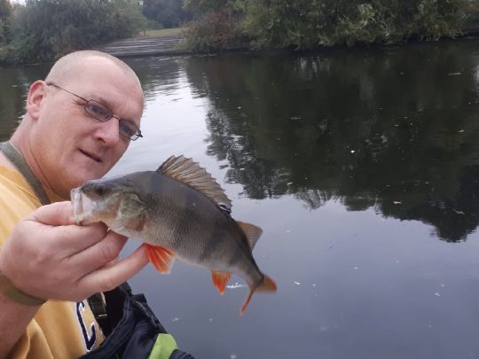 Neue Fahrt (Potsdam)-4