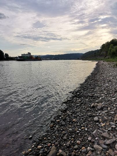 Rhein (Neuwied)-3