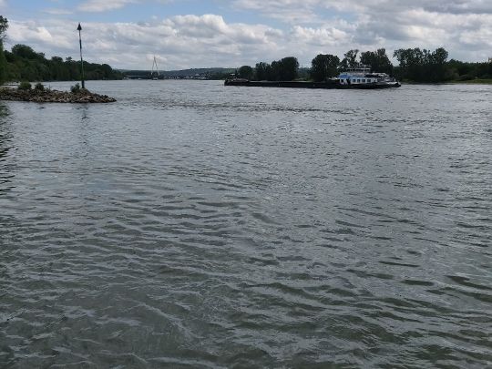 Rhein (Neuwied)-2