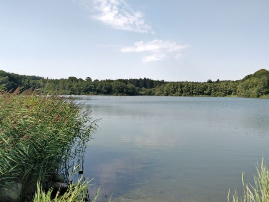 Søgård Sø-1