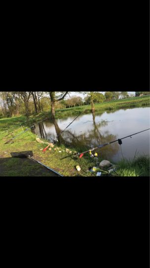 Privatteich bei Oberelfringhausen-2