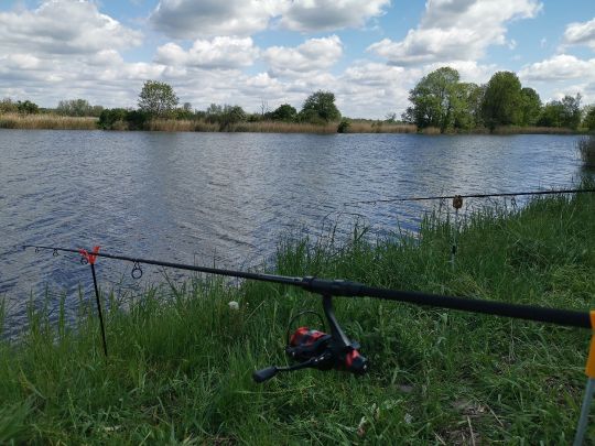 Tarmower See-2