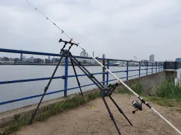 Norderelbe Hafencity (Hamburg)-2