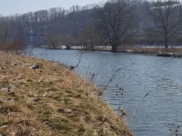 Altmühl (Pappenheim)-1