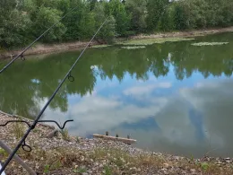 Röser Weiher (Mülheim-Kärlich)-1