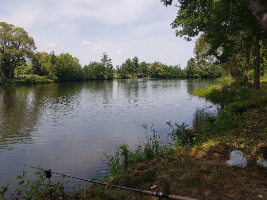 Quellenteich (Felsberg)-4