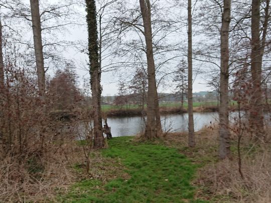 Quellenteich (Felsberg)-2