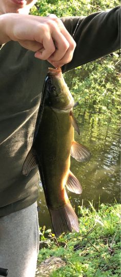 Autobahnsee Maintal-1