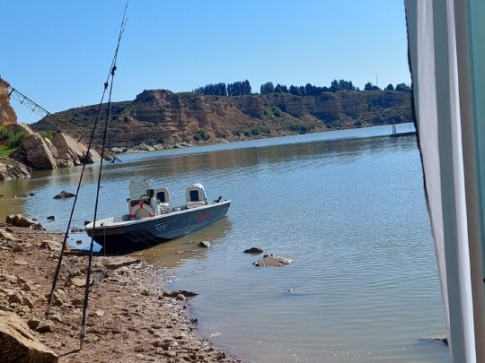 Ebro (Caspe) angeln