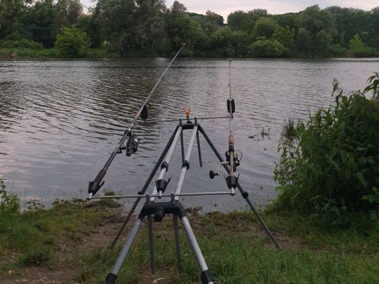 Donau (Windorf)