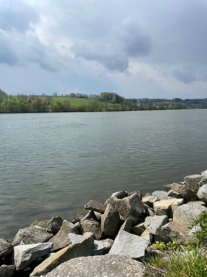 Donau (Windorf)-4