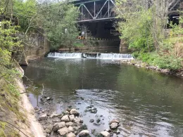 Blies (Neunkirchen)-1