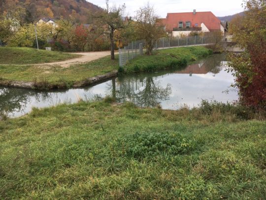 Alter Hafen Kelheim
