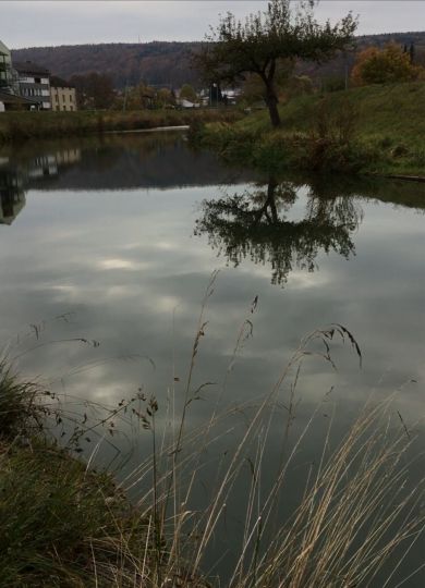 Alter Hafen Kelheim-0