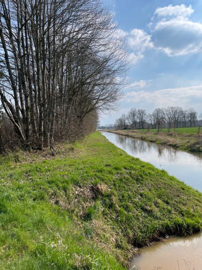 Grother Kanal (Quakenbrück)-1
