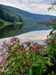 Fulda (Wilhelmshausen)