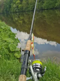 Fulda (Wilhelmshausen)-3