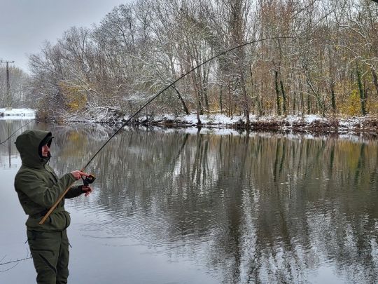 Saale (Halle/Saale)-3