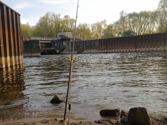 Saale (Halle/Saale)-2