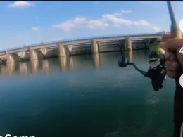 Canal du Rhône au Rhin (Marckolsheim)