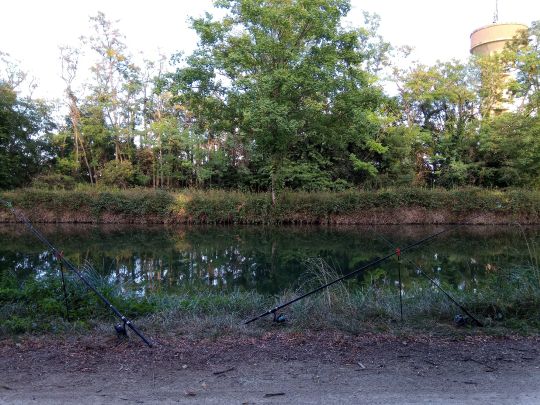 Canal du Rhône au Rhin (Marckolsheim)-0