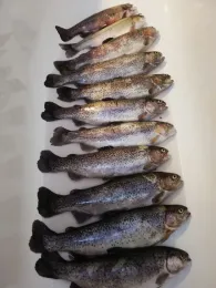 Angelteich Platschow-3