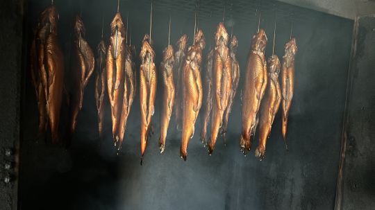 Angelteich Platschow-1