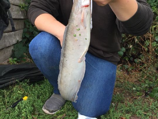 Fischteiche Ahlen