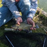 Jaeneckes Teiche (Stendal)-1