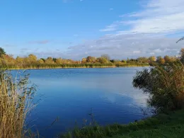 Jaeneckes Teiche (Stendal)-2