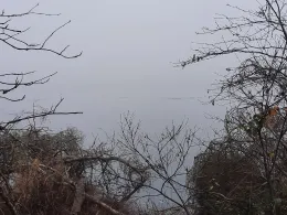 Riedsee (Bad Wurzach)